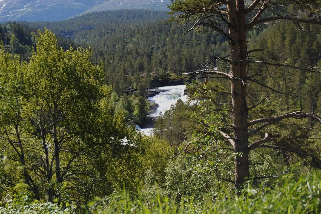 Mine bilder fra Fagernes.Legg gjerne ut selv om dere har Mine bilder fra Fagernes.Legg gjerne ut selv om dere har